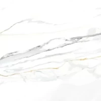 Керамогранит EMPORIO CALACATTA Pulido 60x60