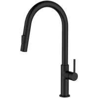 Смеситель для кухни AQG Sort 05SOR510NG с выдвижным изливом, черный матовый