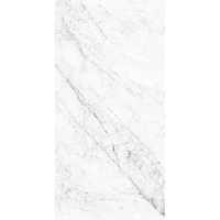 Керамогранит NT Ceramic Atlas Home NTT3602C Carrara Elite 120x280