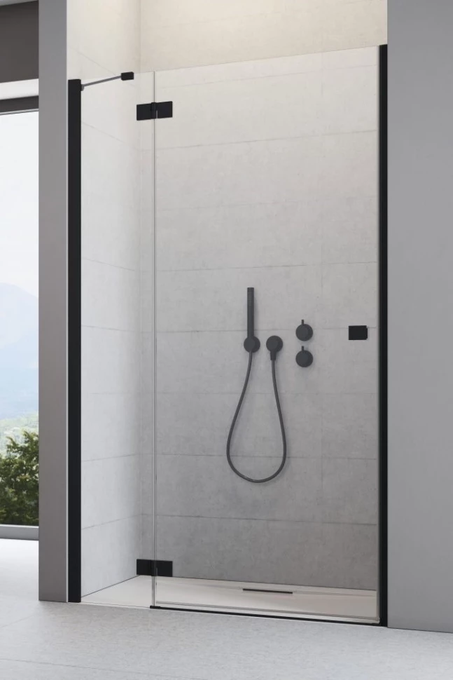 

Душевая дверь Radaway Essenza New Black DWJ 120 L прозрачное