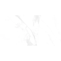 Керамогранит Bony Statuario (Glossy) 60x120