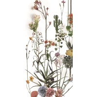 Керамогранит 4100716 Franz 60x120