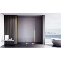 Душевая перегородка Veconi Premium Trento PTDW-50G-100-01-C4 99 см, профиль золотой матовый, стекло прозрачное