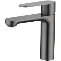 Смеситель для раковины Splenka S222.10.09 графит матовый