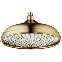 Верхний душ 303 мм Lemark LM9830G