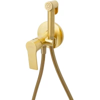 Гигиенический душ Mariani Kali B22185KLW со смесителем, золотой матовый