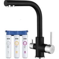 Смеситель для кухни с фильтром Paulmark Essen ES213011-401 + H851P00