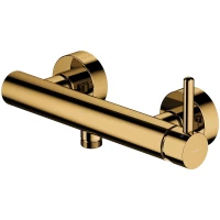 Смеситель для душа Omnires Y Y1240GL