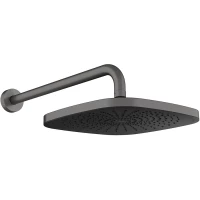 Верхний душ Aqueduto Chuva AQDSCHU1045 255 мм, с кронштейном, оружейная сталь матовый