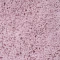 Коврик WasserKRAFT Kammel Chalk Pink BM-8339 - 4