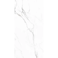 Керамогранит NT Ceramic Atlas Home NTT3605P Marble White 120x280