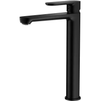 Смеситель для раковины Splenka S222.15.06 черный матовый