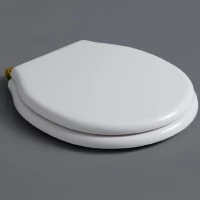 Сиденье для унитаза с микролифтом белый/золото Simas Londra LO007bi/oro