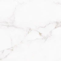 Керамогранит Emigres Lucia-Pul RP 59x59 56871