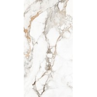 Керамогранит Calacatta Brisco Glossy R 60х120