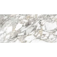 Керамогранит SUPREME MEMORIES BIAN.VAGLI LAPPATO ANT. 3D R 60X120