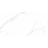 Керамогранит NT Ceramic Bright and Shiny Statuario NTT9106 60х120