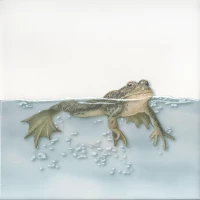 Декор Kerama Marazzi Чудо-озеро 5 20x20x6,9 VT\A472\5009