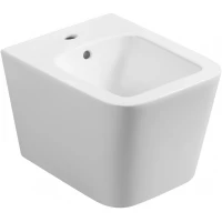 Биде подвесное Wonzon & Woghand Rona WW-UB5154-GW белый глянец