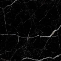 Керамогранит Realistik Royal Black High Glossy 60x60