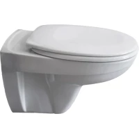 Унитаз подвесной Pestan Basic 40006460 с сиденьем микролифт, белый