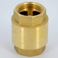 Клапан обратный пружинный с пластиковым затвором 1