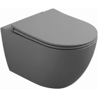 Унитаз подвесной Wonzon & Woghand Nile WW-UP2210-MG безободковый, торнадо, с сиденьем микролифт, серый матовый