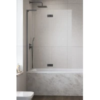 Шторка на ванну Radaway Essenza 8 SL Brushed GunMetal PND II 110 Left 10500110-92-01L 110 см L, профиль оружейная сталь матовый, стекло прозрачное