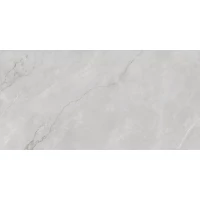 Керамогранит ASTONIA Silver Glossy Silver Line 60x120