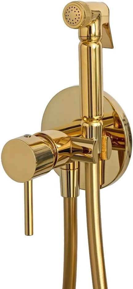 Гигиенический душ Remer X Style X65DO со смесителем, золотой