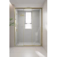 Душевая дверь Veconi Premium Prato PR3/L-100-01-G-C4 100 см L, профиль золотой матовый, стекло прозрачное