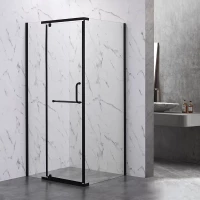 Душевой уголок 100x100 см Veconi Rovigo RV18B-100-01-C5 прозрачное