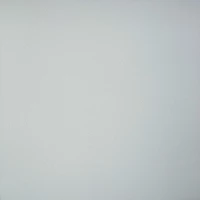 Керамогранит GT009M светло-серый матовый 600x600x10