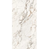 Керамогранит Faux Grey Glossy Endless 60x120