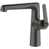 Смеситель для раковины Esko Bangkok BG26MGM оружейная сталь матовый