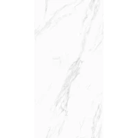 Керамогранит MPL-058815 1157 glossy 60x120