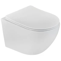 Унитаз подвесной Teka Manacor 117320002 безободковый, с сиденьем микролифт, белый