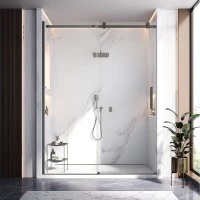 Душевая дверь Veconi Vianno VN75B-160-01-C4 159 см, профиль черный матовый, стекло прозрачное