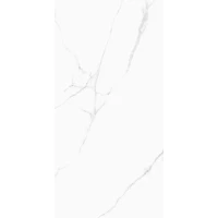 Керамогранит MPL-058816 CRV-3141 carving 60x120