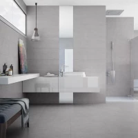 Коллекция плитки Argenta Light Stone