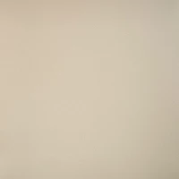 Керамогранит GT100M RAL1013 Бежевый матовый 600x600x10 ретт