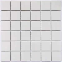 Мозаика Arene White 306*306