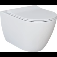 Унитаз подвесной Ambassador Queen 113T20101R безободковый, белый матовый