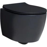 Унитаз подвесной Allen Brau Fantasy 4.11004.31 безободковый, черный матовый