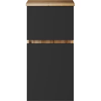 Полуколонна Misty Ива П-Ива05040-48 подвесная L/R, графит матовый/каштан