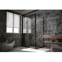 Душевой уголок 149x99 см Veconi Premium Trento PTC30-SP-150100-B-01-C4 прозрачное