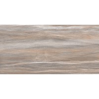 Плитка настенная Esprit Wood глянцевая 25x50