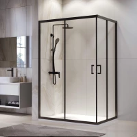 Душевой уголок 99,5x79,5 см RGW PA-246B Passage 030824680-14 прозрачное