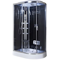 Душевая кабина 115,5x80x220 см Niagara NG-903-01L тонированное