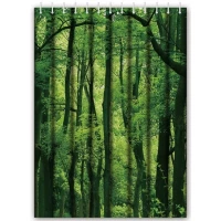 Штора для ванной комнаты Haiba HB74060